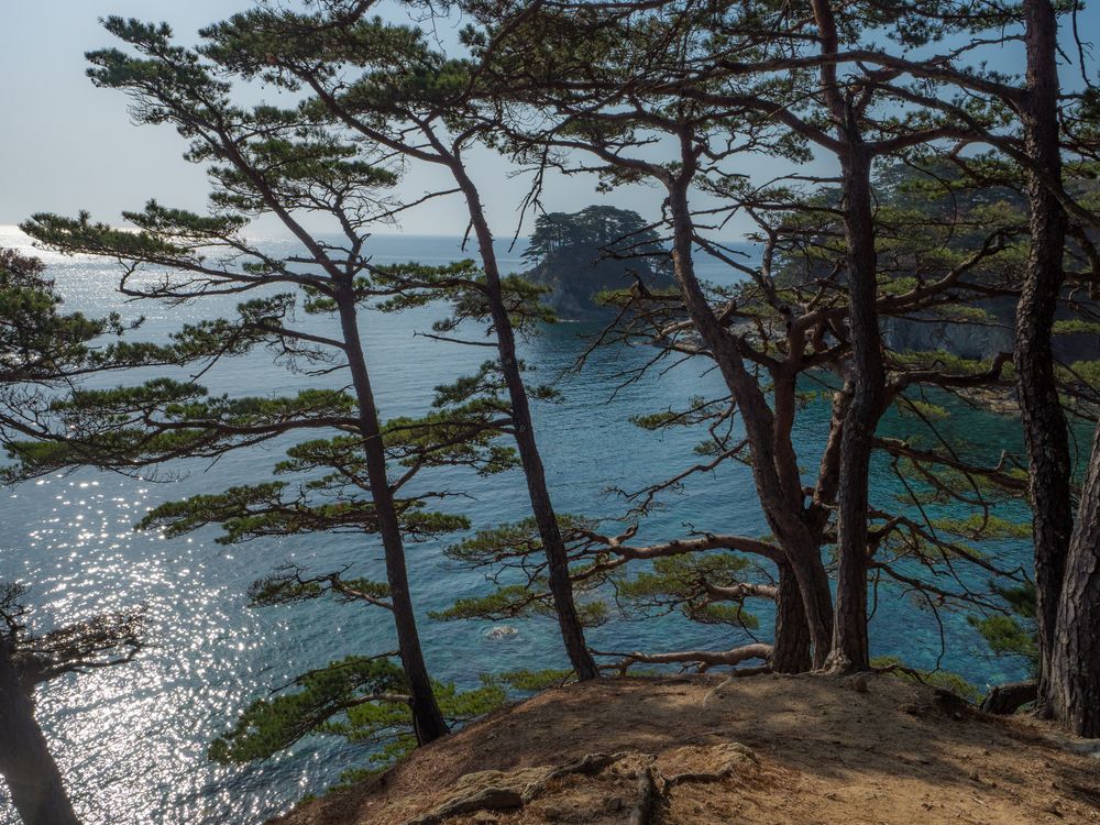 Photograph by Матвей Матвеев