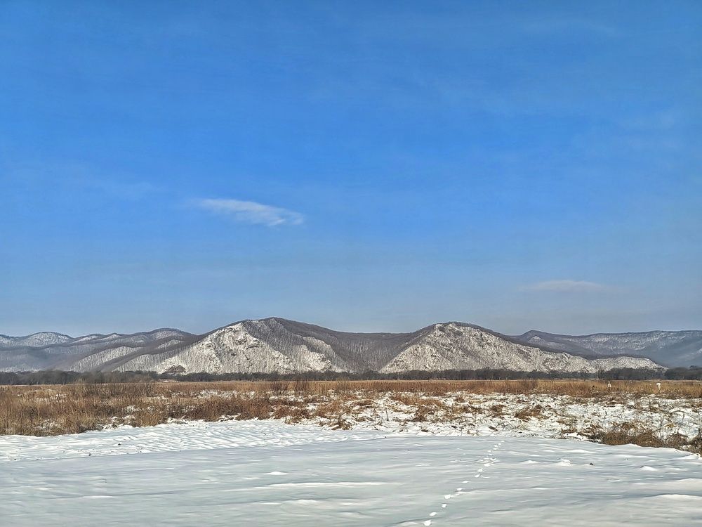 Фотография автора НАТАЛЬЯ СЕВЕР