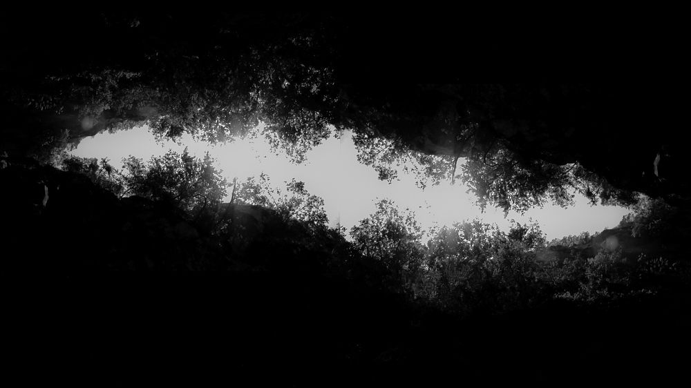 Photograph by Pieces Of moment