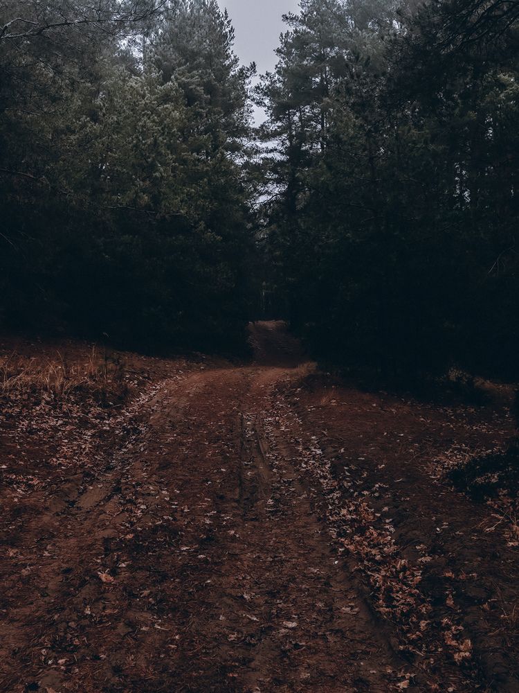 Фотография автора Алиса Исаева