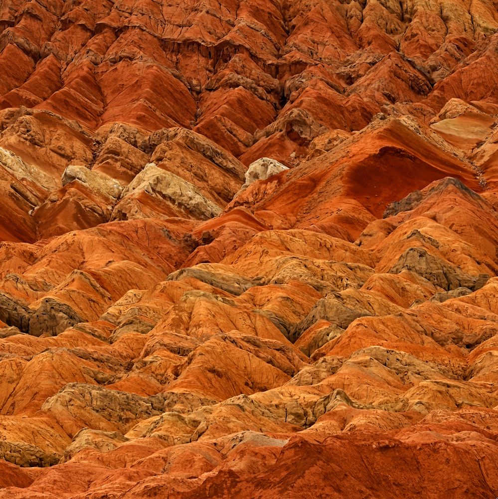 Photograph by Sanj Natsagdorj