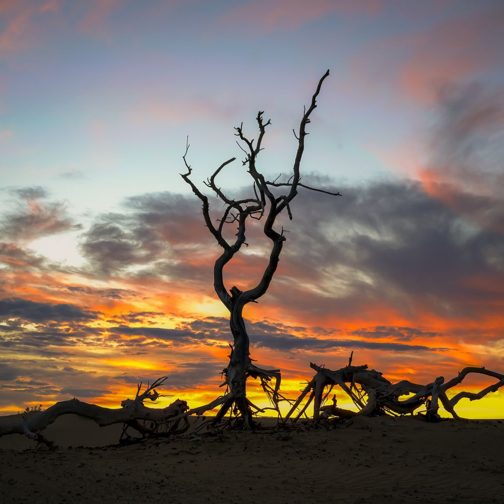 Photograph by Sanj Natsagdorj