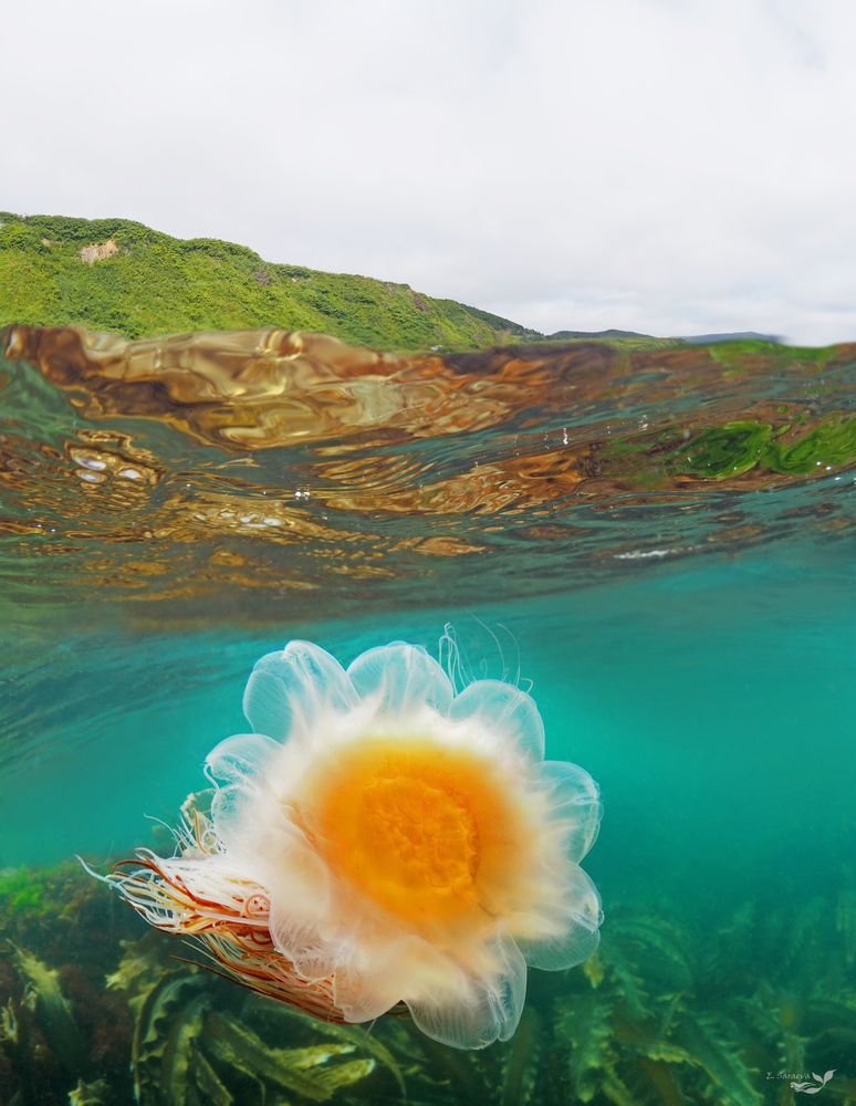 Photograph by Екатерина Владиславовна