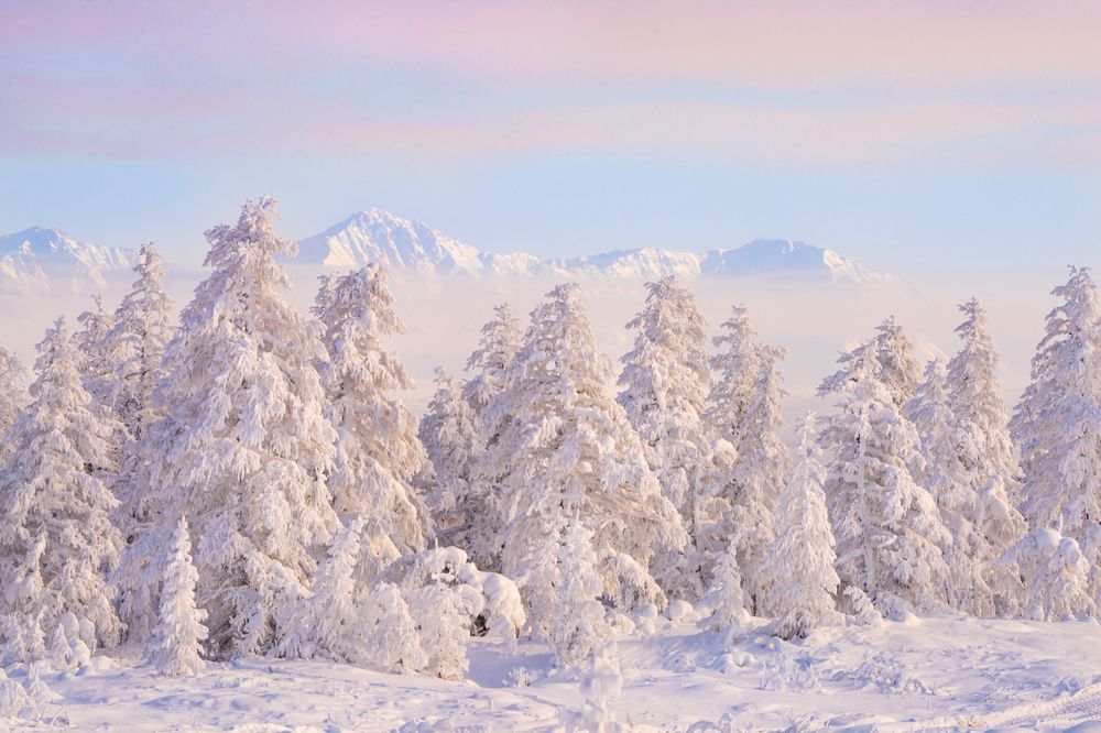 Photograph by Ольга Мусиенко