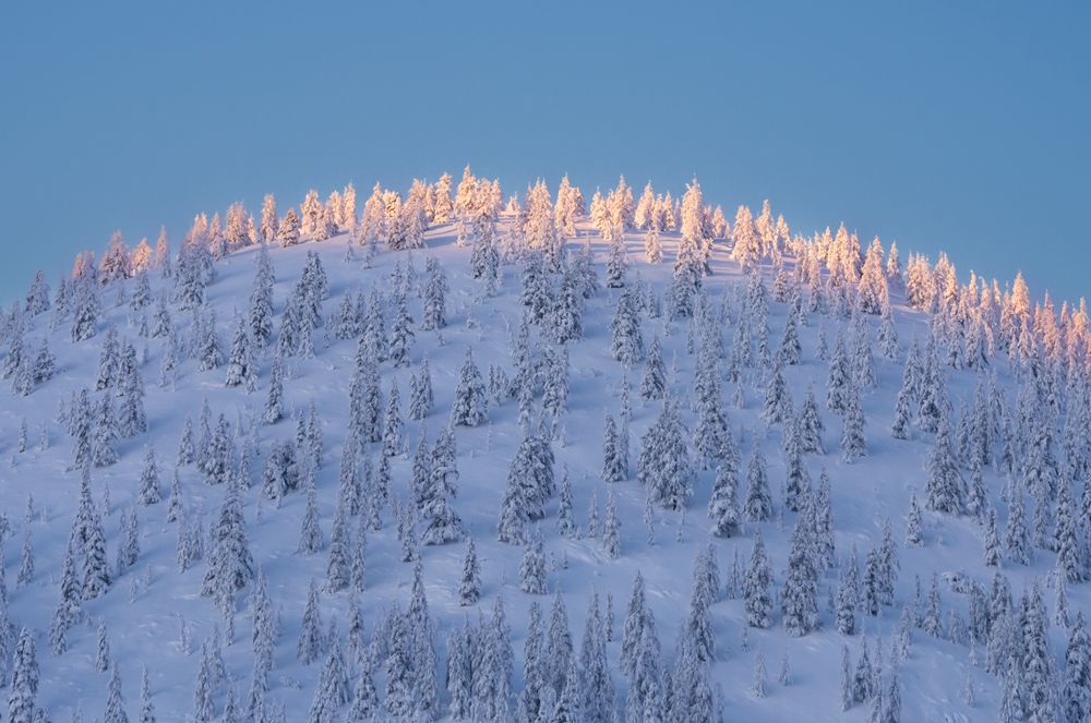 Photograph by Ольга Мусиенко