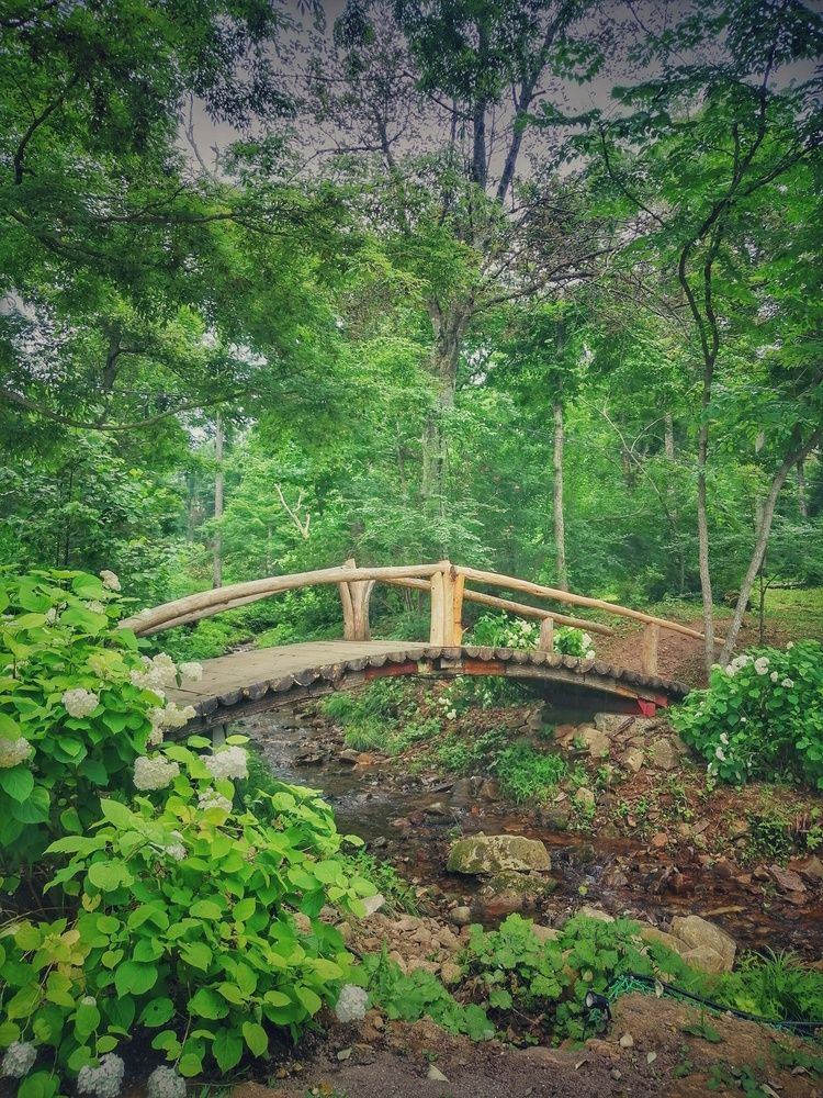 Фотография автора НАТАЛЬЯ СЕВЕР