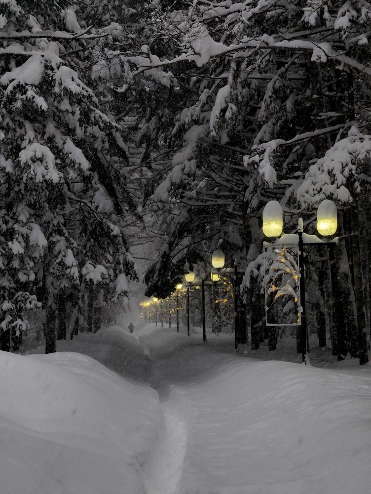 Фотография автора Илья