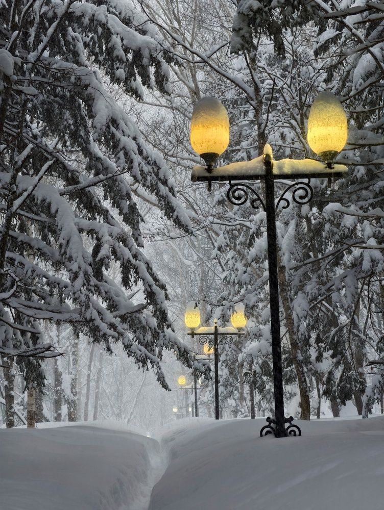 Фотография автора Илья