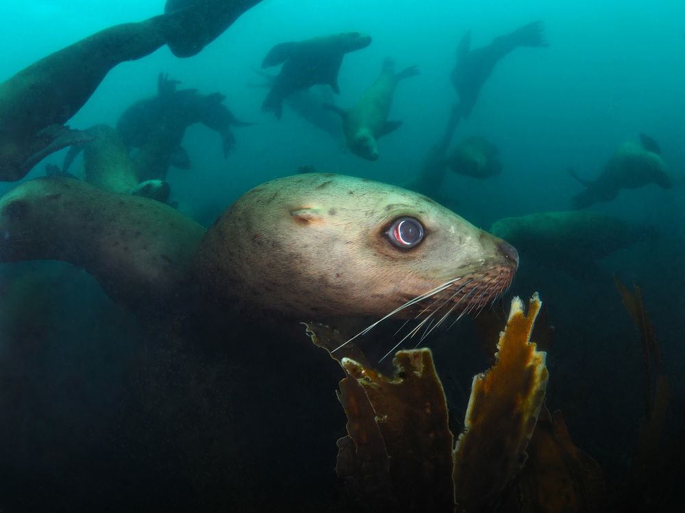 Photograph by Екатерина Владиславовна