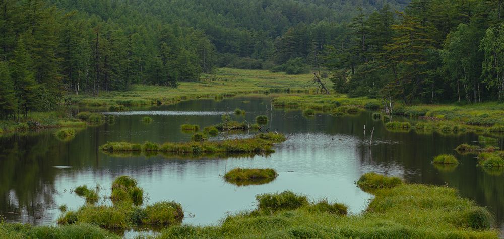 Photograph by Владимир