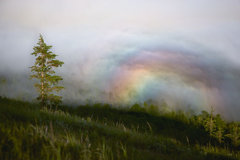 Photograph by Александр Салякаев