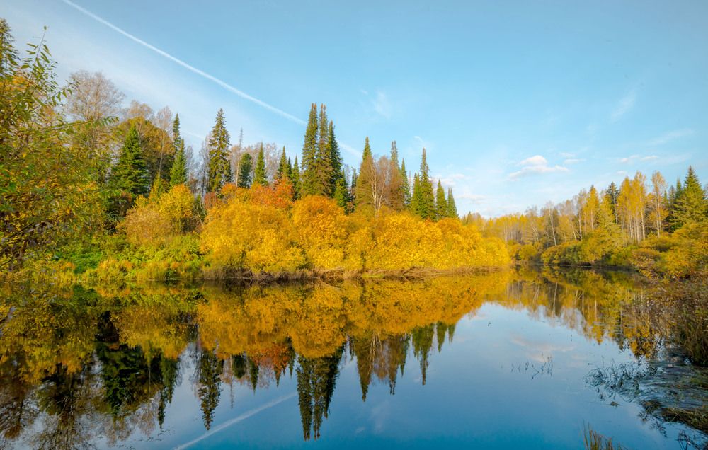 Фрагмент осени.