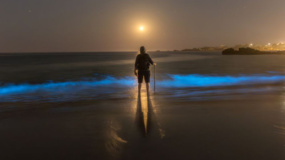 Фотография автора Juan Manuel Galiñanes Rebouza