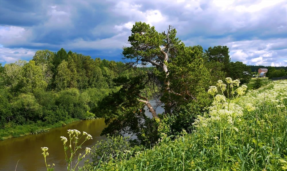 Фотография автора Марков Сергей