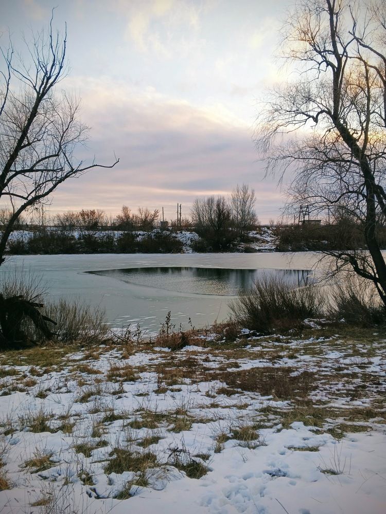 Photo #11814455