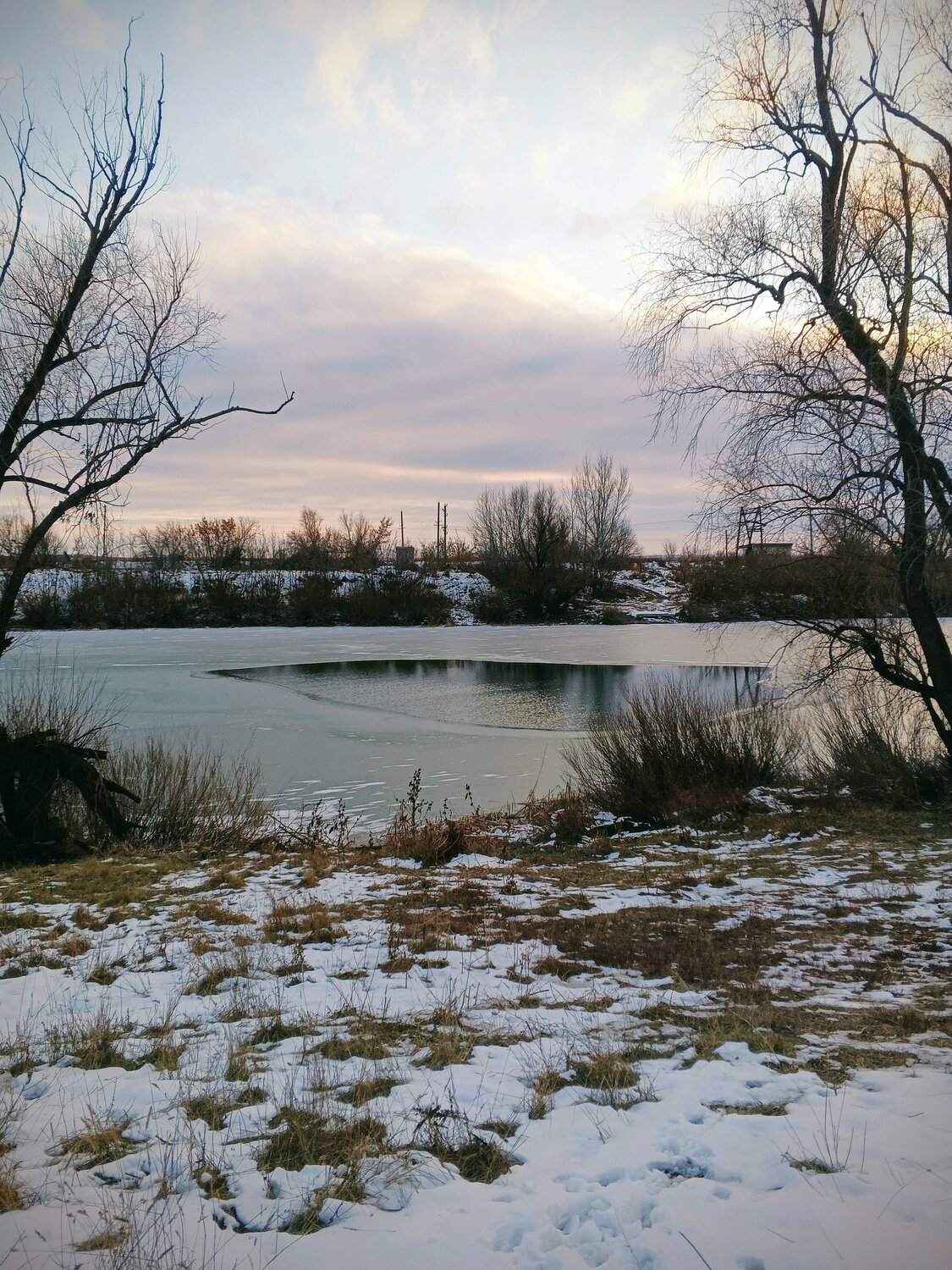 Photo #11814455