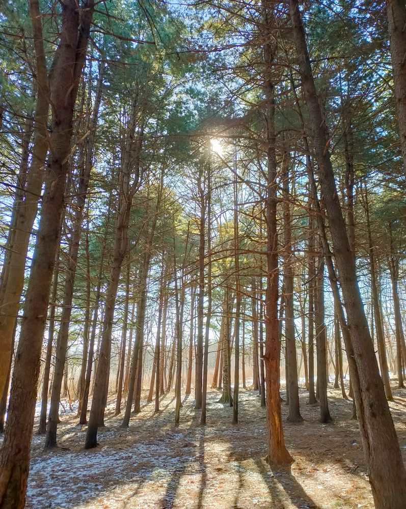 Photograph by Александр Коваль