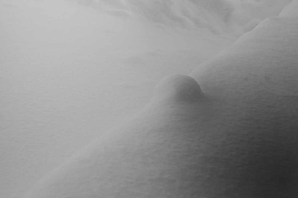 Photograph by Nobu-Oh