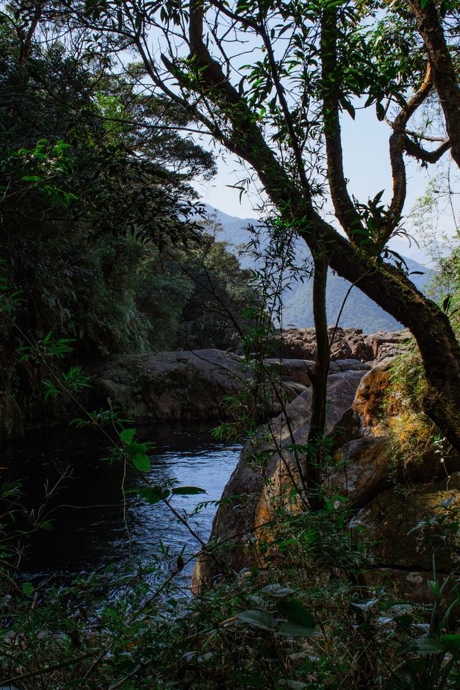 Photograph by Jean Loprete