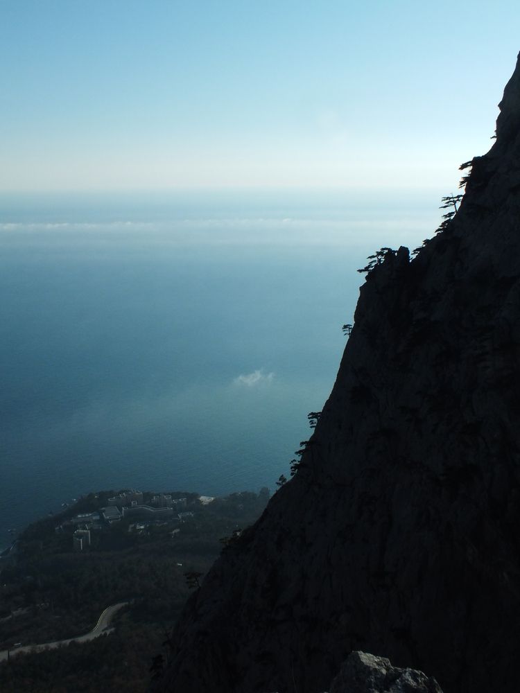 Photo #11814546