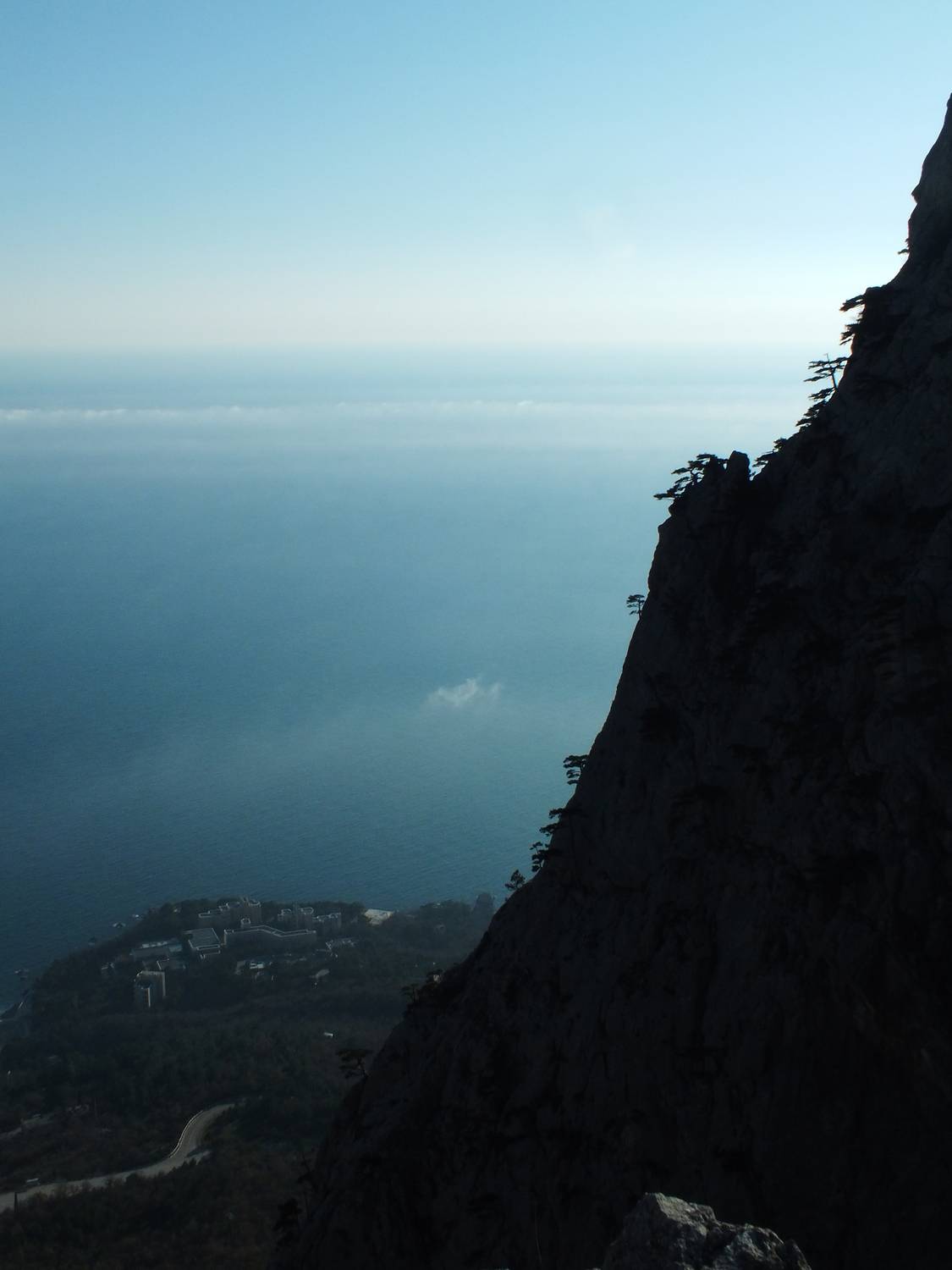 Photo #11814546