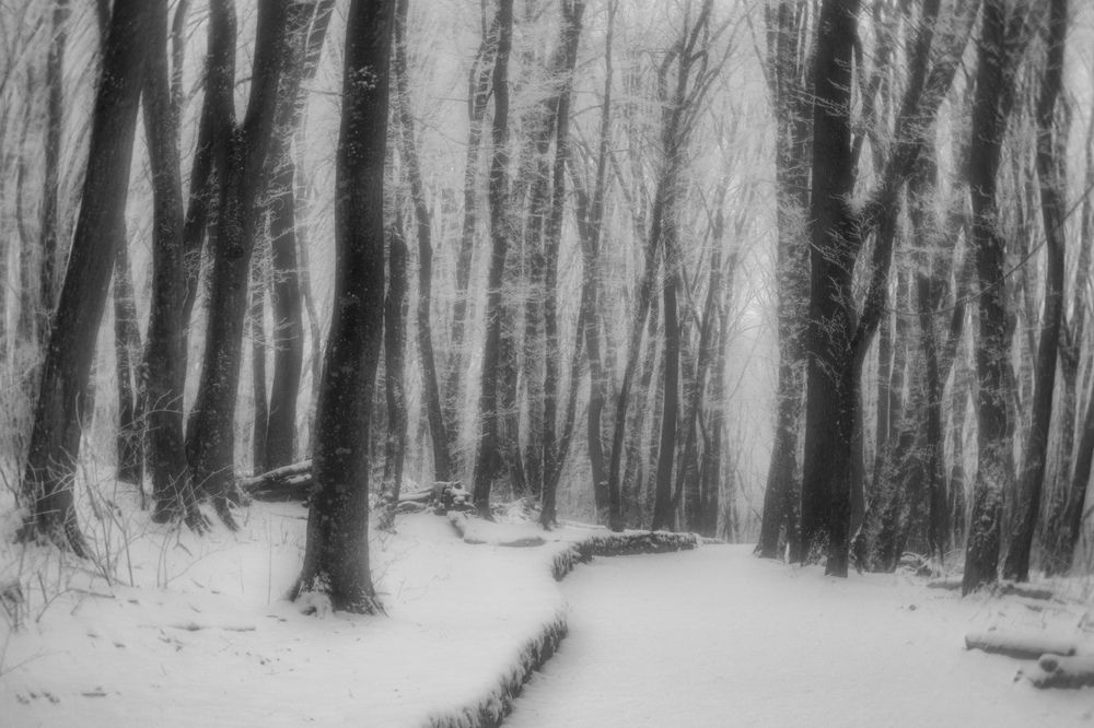 Photograph by Виталий Маслов