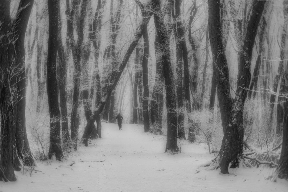 Photograph by Виталий Маслов