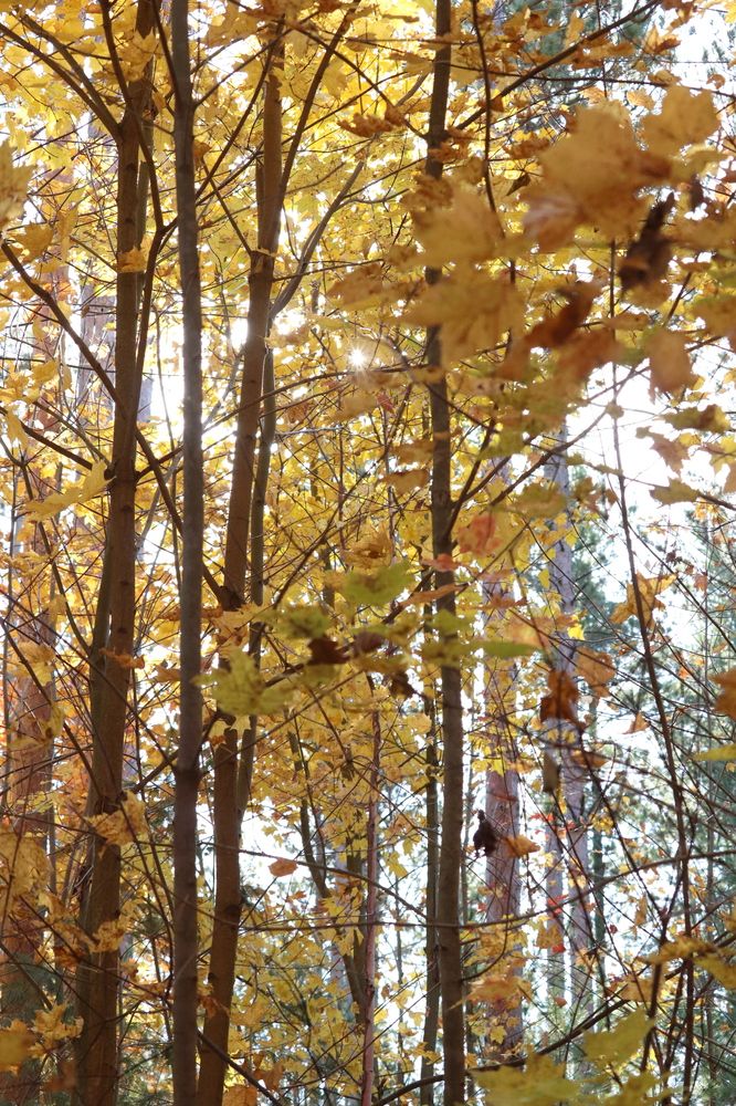 Photograph by Richard Xavier