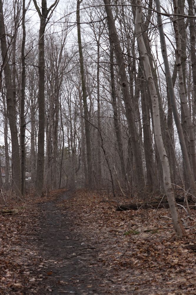 Photograph by Richard Xavier