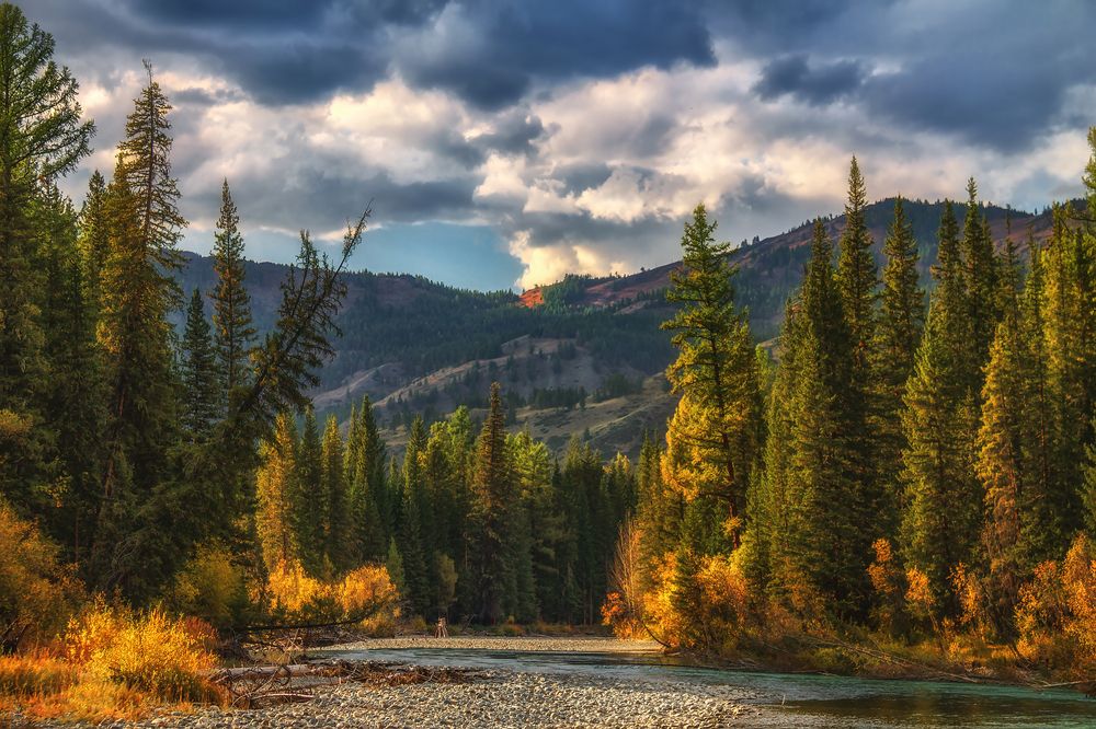 Фотография автора Марина Юдинских