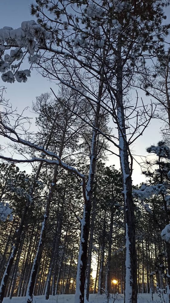 Фотография автора Наталья Вербина