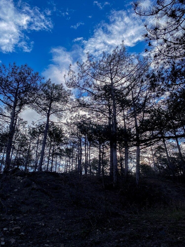 Фотография автора Наталья Вербина