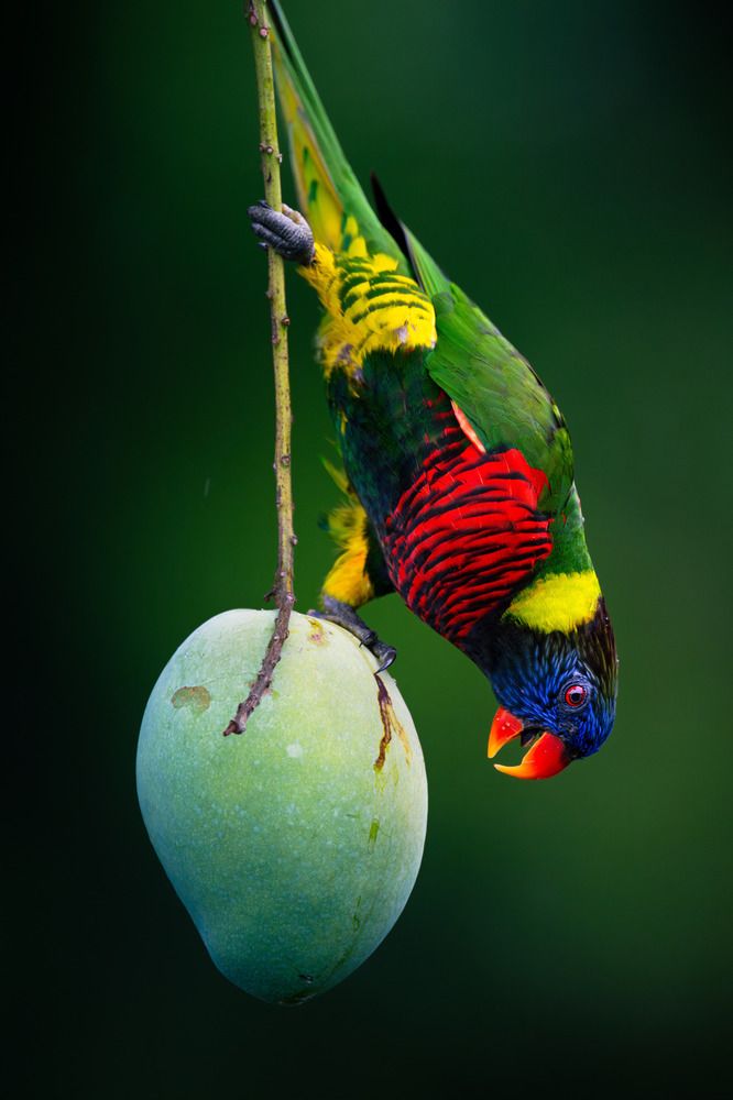 Photograph by Lucas Oh