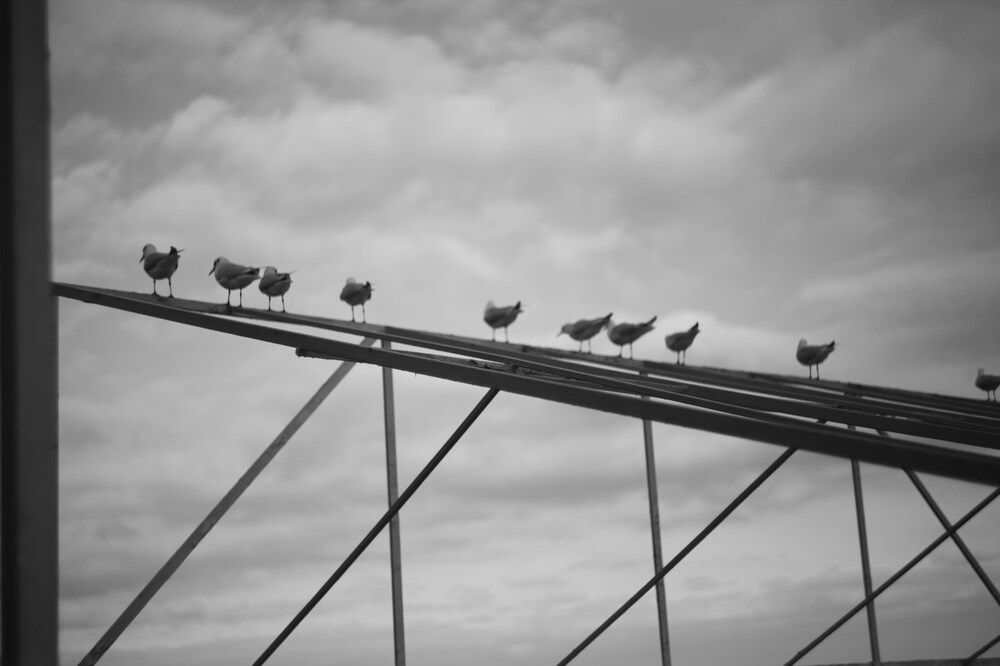 Фотография автора Наталья Вербина