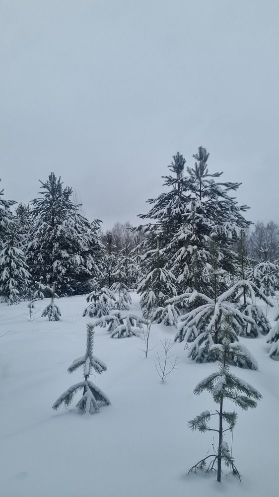 Photograph by Денис Заславский