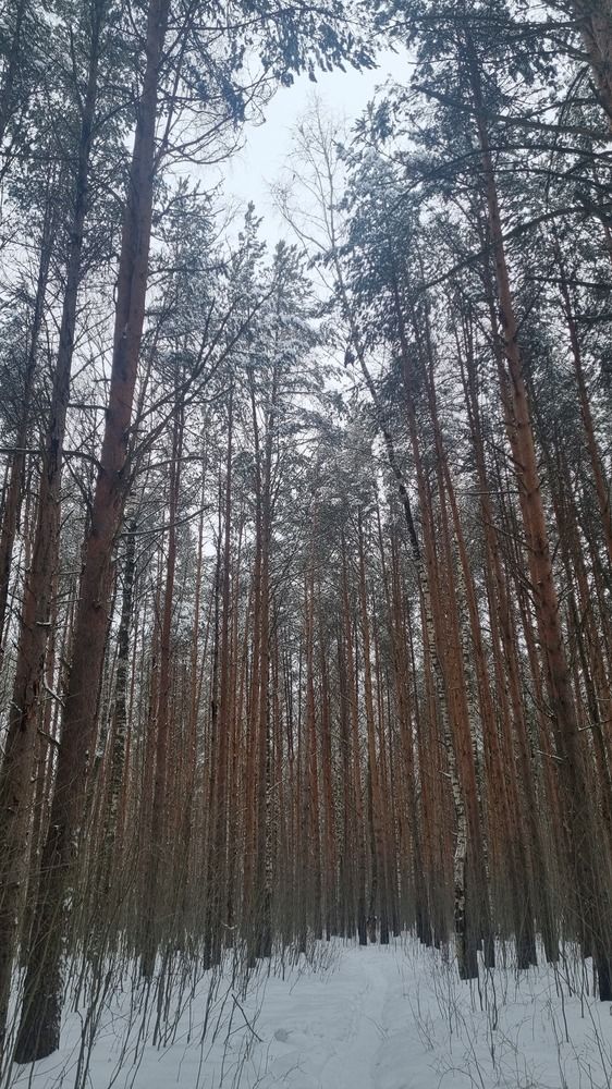 Photograph by Денис Заславский