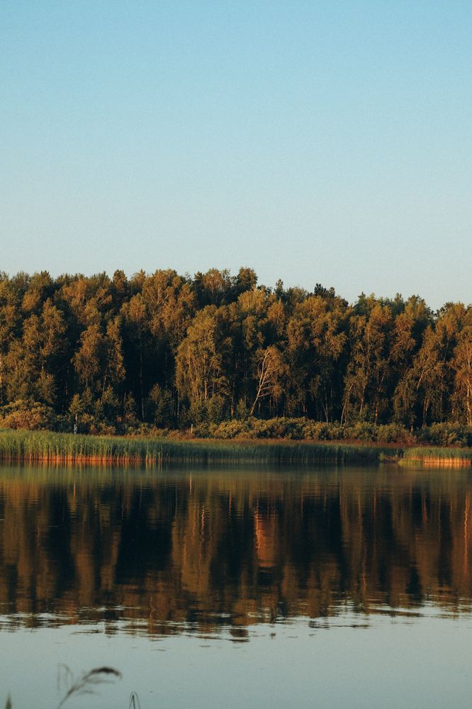 Фотография автора Дарина Чечулина