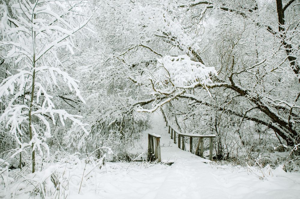 Photograph by Татьяна Семенова