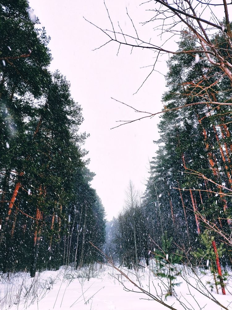 Photograph by Ксения Цветкова