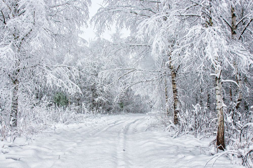 Photograph by Татьяна Семенова