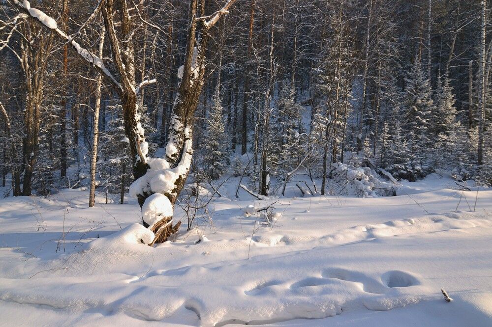 Photograph by Olga Mishenina