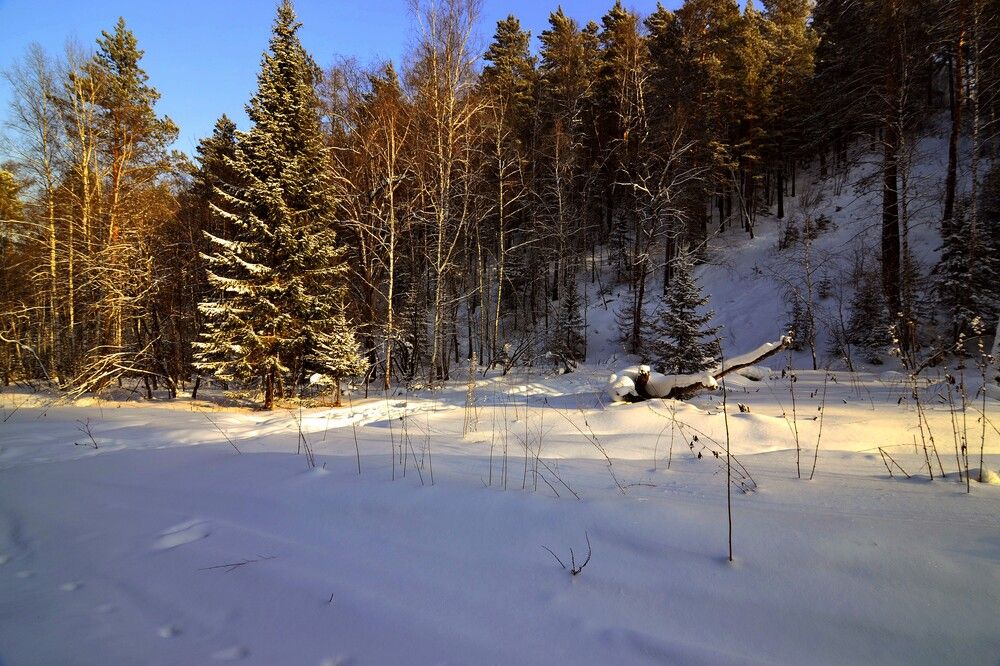 Photograph by Olga Mishenina