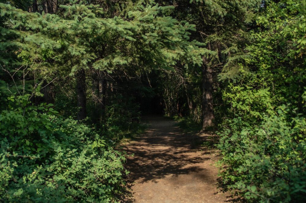 Photograph by Александр Раков