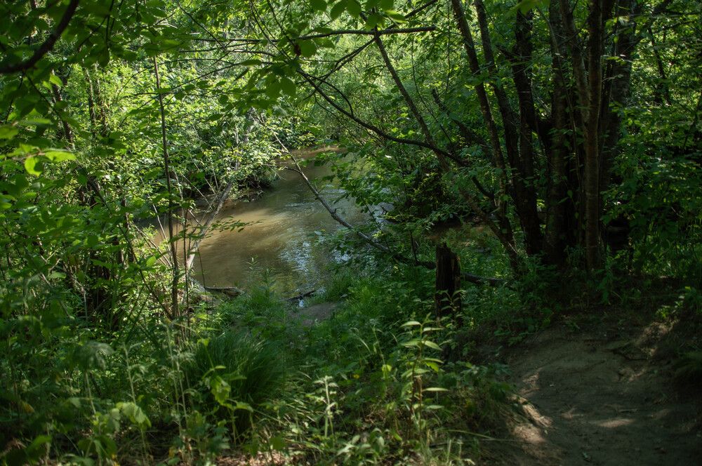 Photograph by Александр Раков