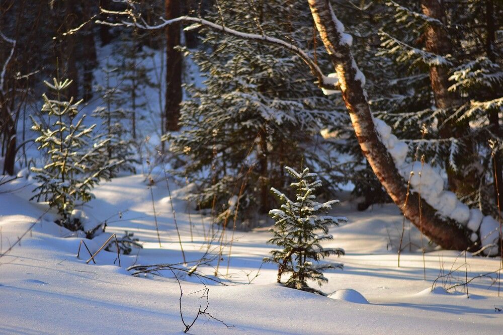 Photograph by Olga Mishenina