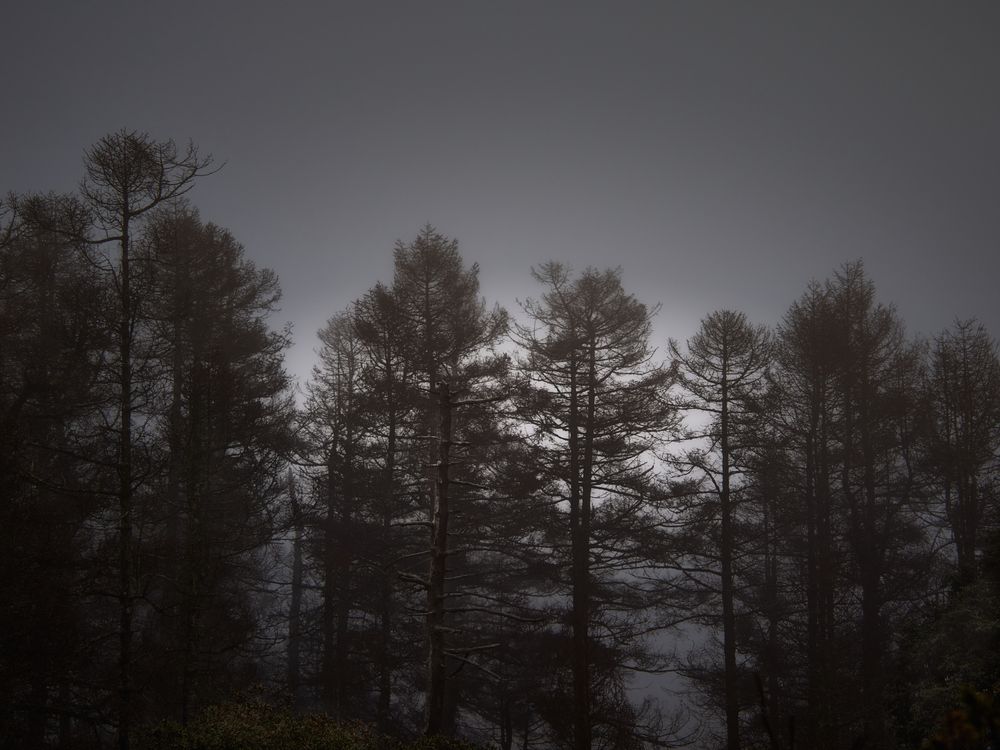 Photograph by Arcas Ignacio