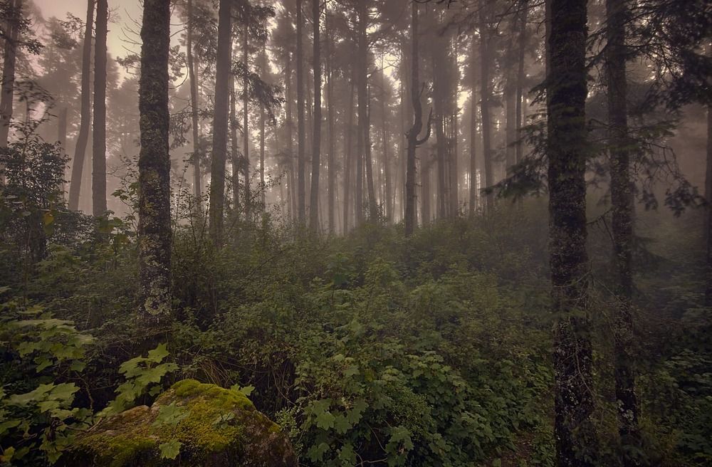 Photograph by Arcas Ignacio