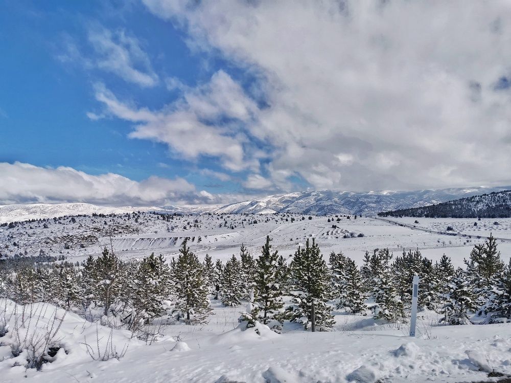 Photograph by Светлана Смирнова