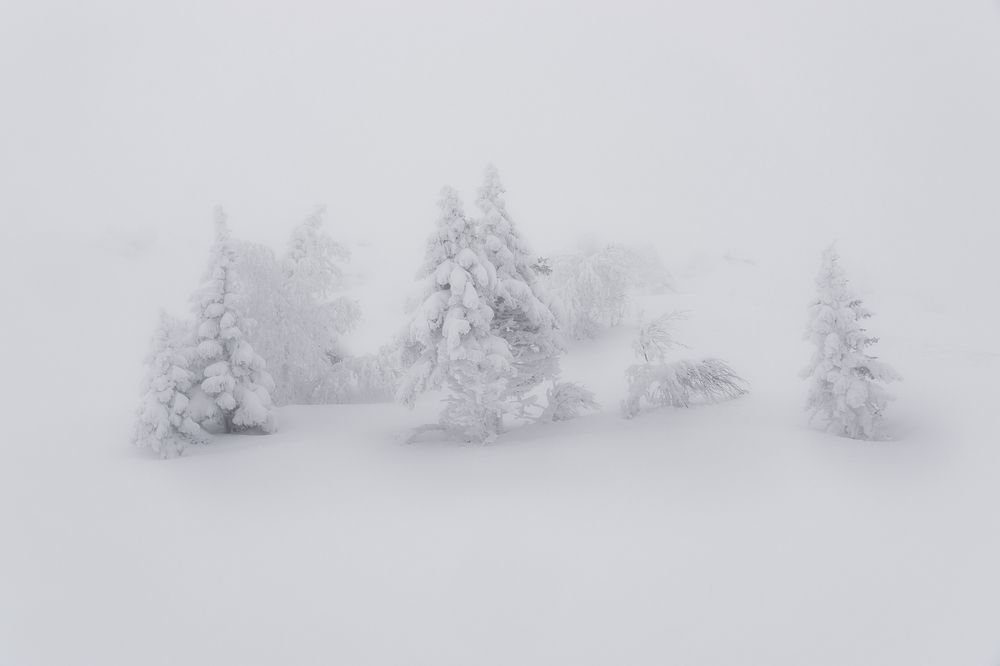 Photograph by Толстоноженко Илья