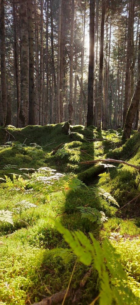 Photograph by Евгения Чехова